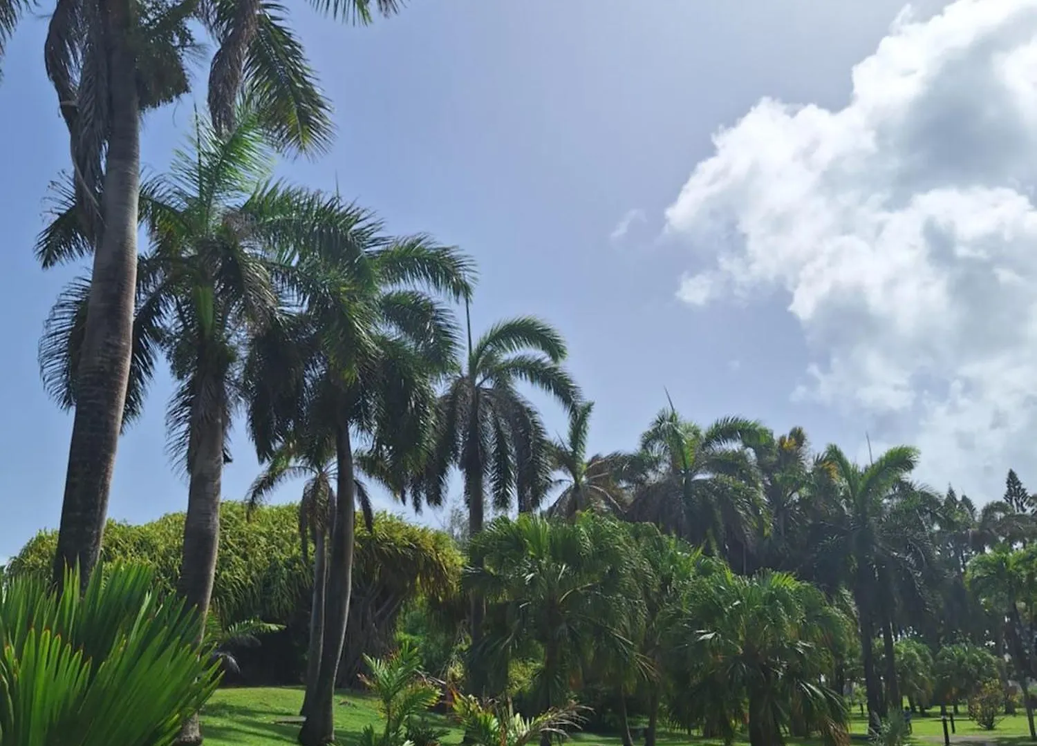 Apartment Appartement Emeraude Caraibes, Anse Des Rochers Saint-Francois  Guadeloupe